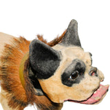 1890’s Antique Paper Mache French Bulldog Nodder/Growler Pull Toy