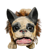 1890’s Antique Paper Mache French Bulldog Nodder/Growler Pull Toy