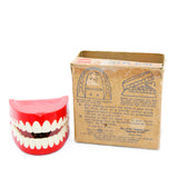 Original 1949 Yakity-Yak Talking Teeth with Box