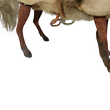 Extremely Rare 1900 German Hide Covered Wind-Up Bucking Bronco with Well-Dressed Rider