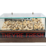 Display case with glass top containing pebbles and a sign saying 'THEY'RE FRESH' on a white background