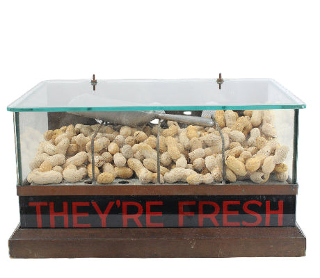 Display case with glass top containing pebbles and a sign saying 'THEY'RE FRESH' on a white background