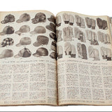 1950 Spring & Summer and 1951-1952 Fall & Winter Montgomery Ward Catalogues