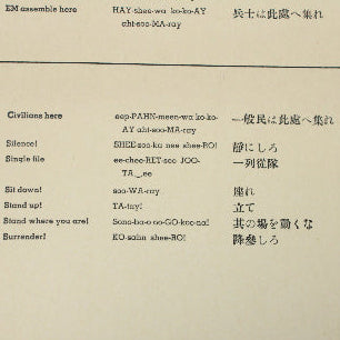 Text document on a beige background with Japanese characters and English text.