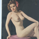 Vintage-style poster of a nude woman with a pink dress against a dark background