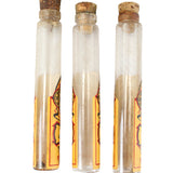 Early 1900's Terriff & Co. Flavor Extract Sales Sample Case