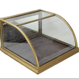 Antique Large Curved Glass Countertop Display Case