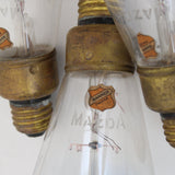 Set of 3 Vintage Mazda Tear Drop Tipped 60W 104V Electric Light Bulbs with Edison Base