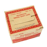 19 Boxes of Kilgore's Old Mammoth No. 75 Single Shot Caps in Original Retailers 60-Box Cardboard Case