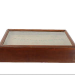 Wooden display box with glass lid on a white background