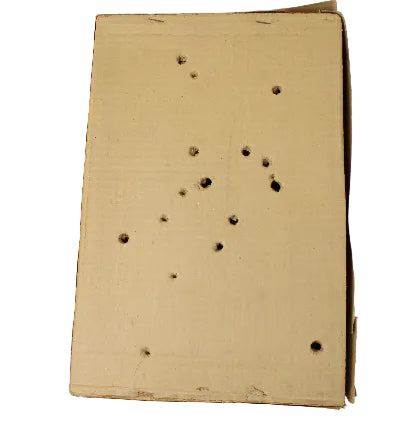 Cardboard box with holes on a white background